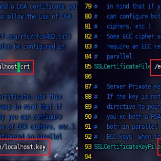 ssl.conf-85and-93-row-former-and-after