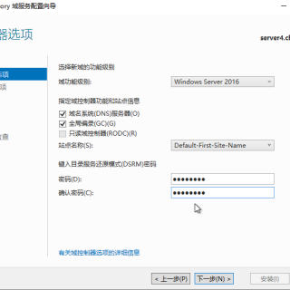 Fill-in-the-DSRM-password