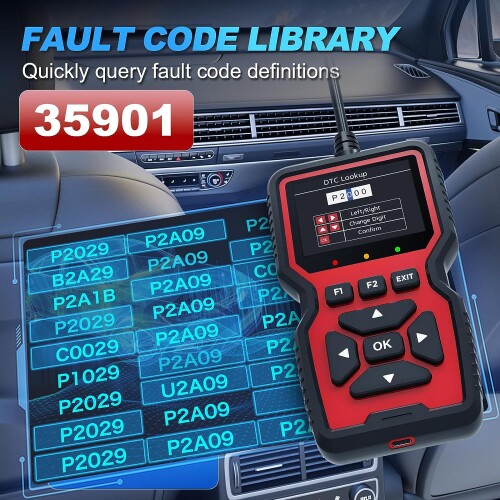 81h6O2fqPL._AC_SL1500_.jpeg