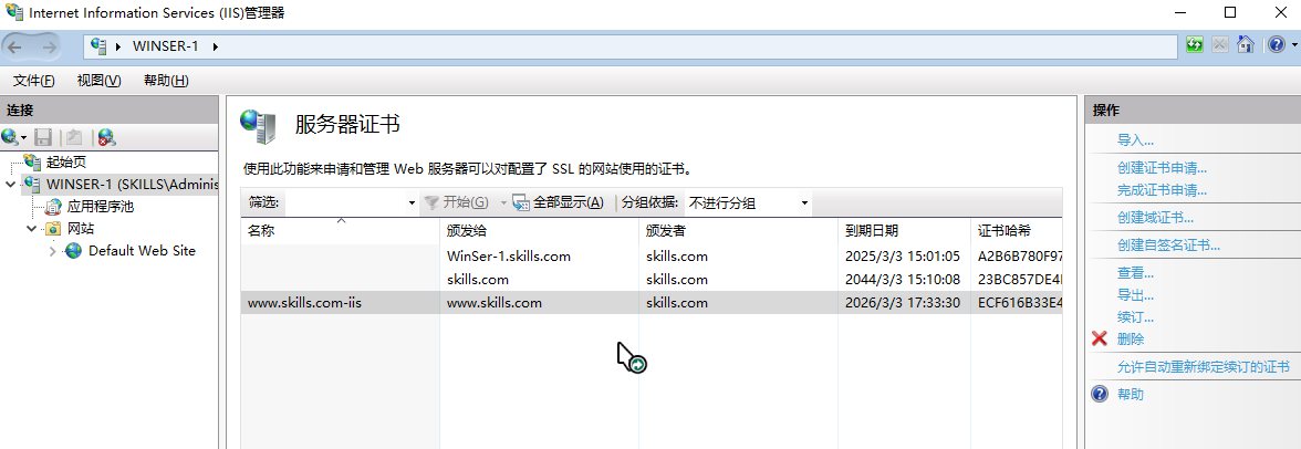 Snipaste 2024 03 03 19 08 51