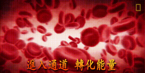 22e08ae3d1c69d8e235460d83c98a953.gif