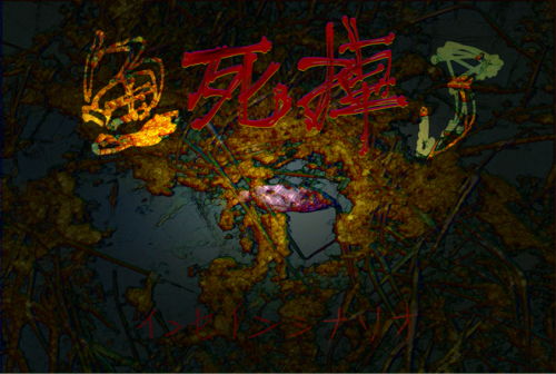 3456963871562d3939612a47209ff7e9.png