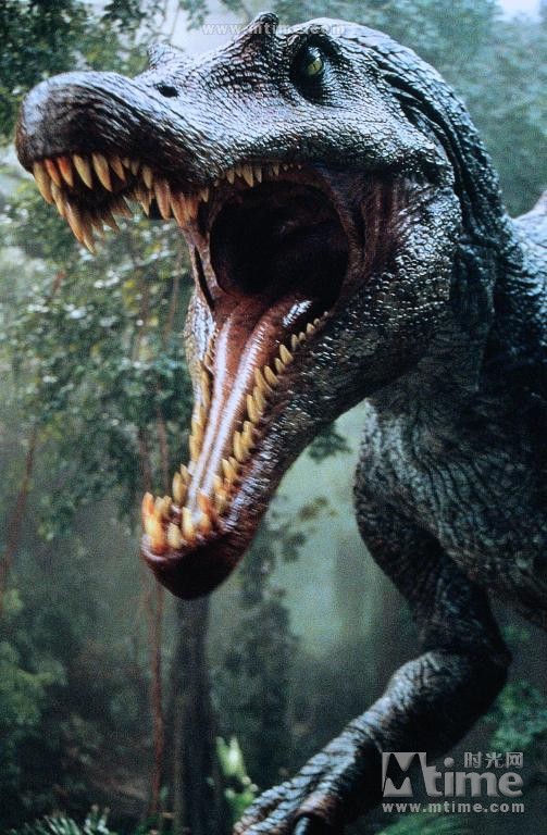 
		                    《侏罗纪公园3 Jurassic Park III (2001)》的海报和截图（11/15）