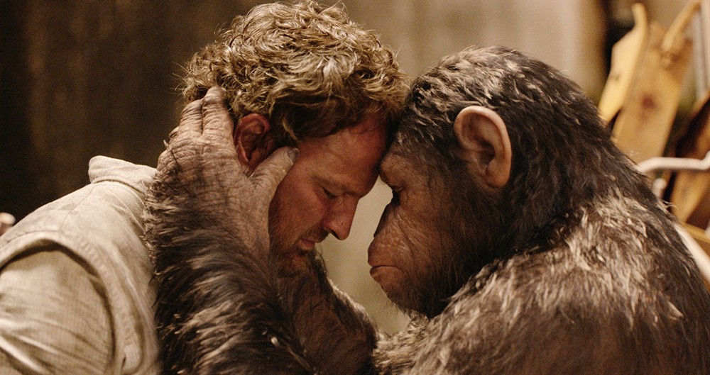 
		                    《猩球崛起2：黎明之战 Dawn of the Planet of the Apes (2014)》的海报和截图（15/25）