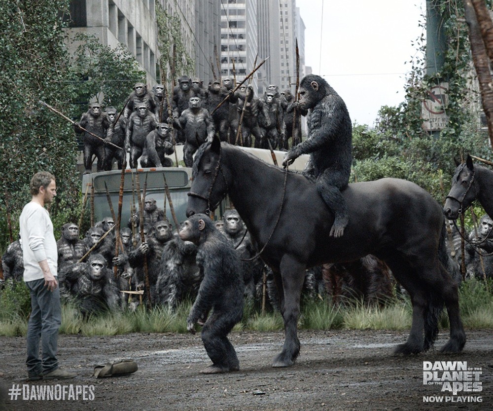 
		                    《猩球崛起2：黎明之战 Dawn of the Planet of the Apes (2014)》的海报和截图（12/25）