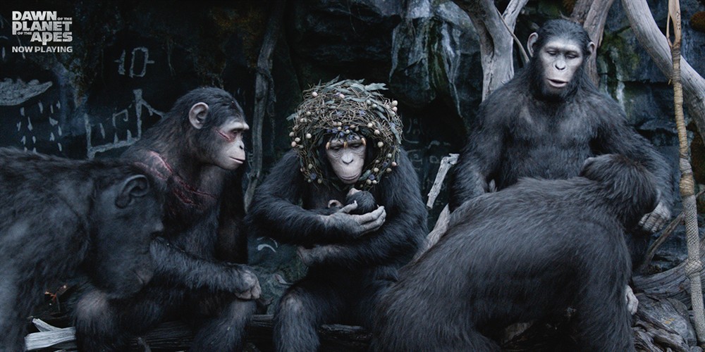 
		                    《猩球崛起2：黎明之战 Dawn of the Planet of the Apes (2014)》的海报和截图（14/25）