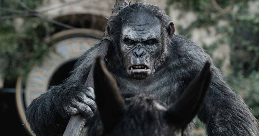 
		                    《猩球崛起2：黎明之战 Dawn of the Planet of the Apes (2014)》的海报和截图（17/25）