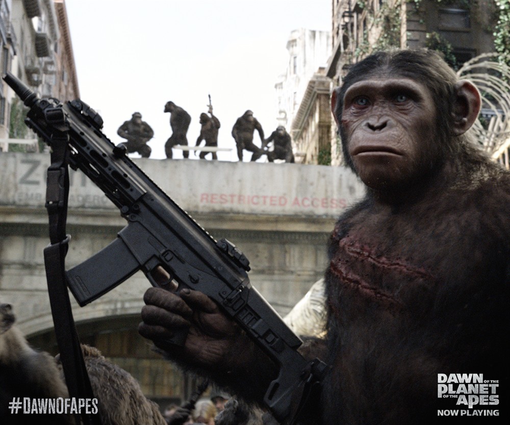 
		                    《猩球崛起2：黎明之战 Dawn of the Planet of the Apes (2014)》的海报和截图（4/25）