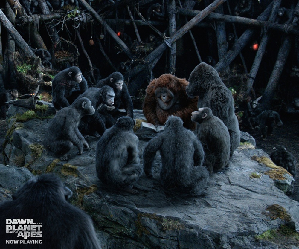 
		                    《猩球崛起2：黎明之战 Dawn of the Planet of the Apes (2014)》的海报和截图（7/25）