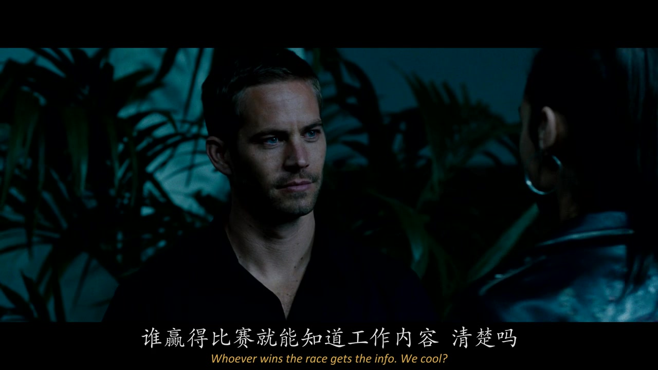 
		                    《速度与激情4 Fast & Furious》的海报和截图（17/27）