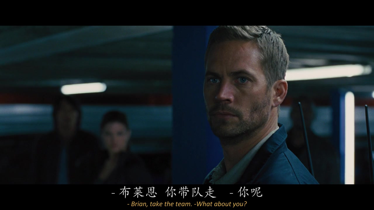 
		                    《速度与激情6 Furious 6 (2013)》的海报和截图（7/24）