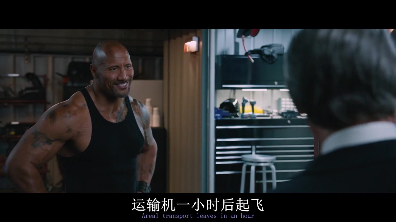 
		                    《速度与激情8 The Fate of the Furious (2017)》的海报和截图（20/27）