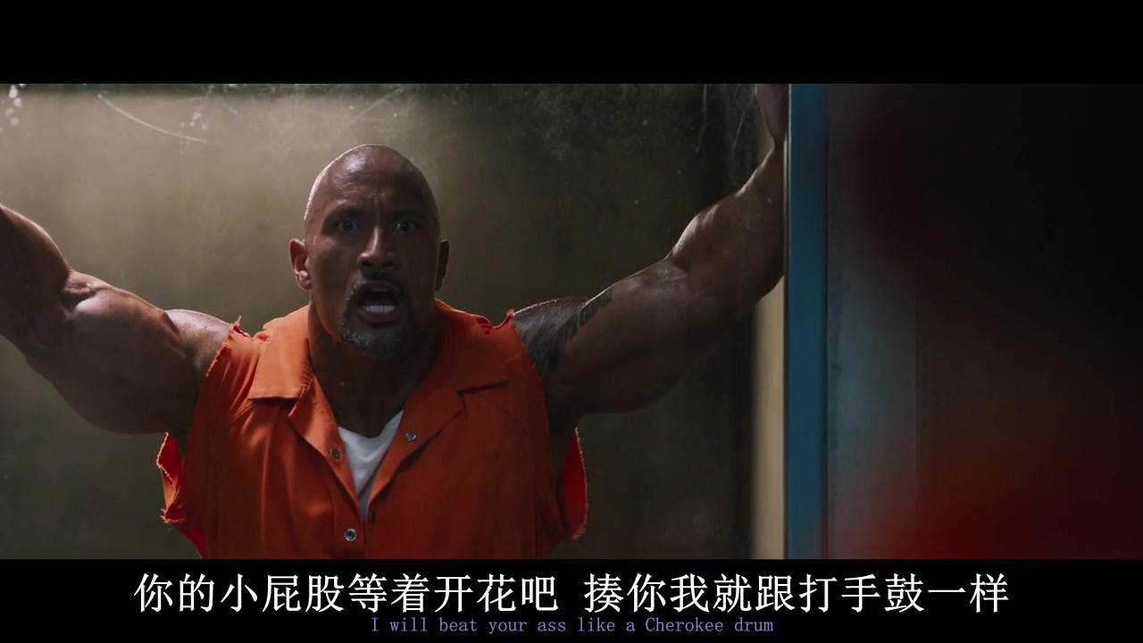 
		                    《速度与激情8 The Fate of the Furious (2017)》的海报和截图（16/27）