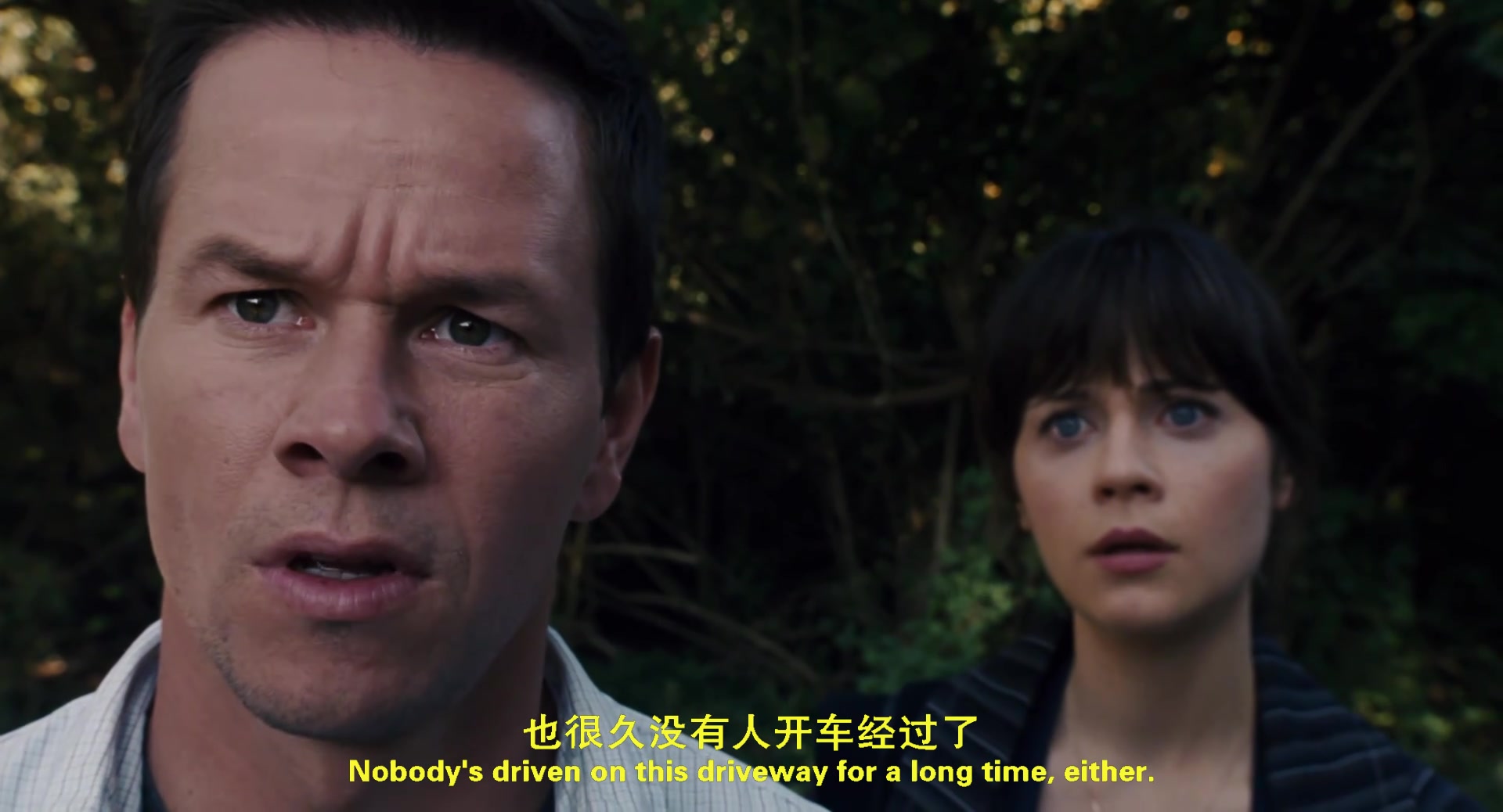 
		                    《灭顶之灾 The Happening (2008)》的海报和截图（7/15）