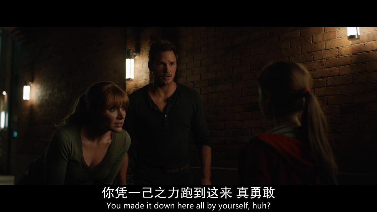 
		                    《侏罗纪世界2 Jurassic World: Fallen Kingdom》的海报和截图（12/15）