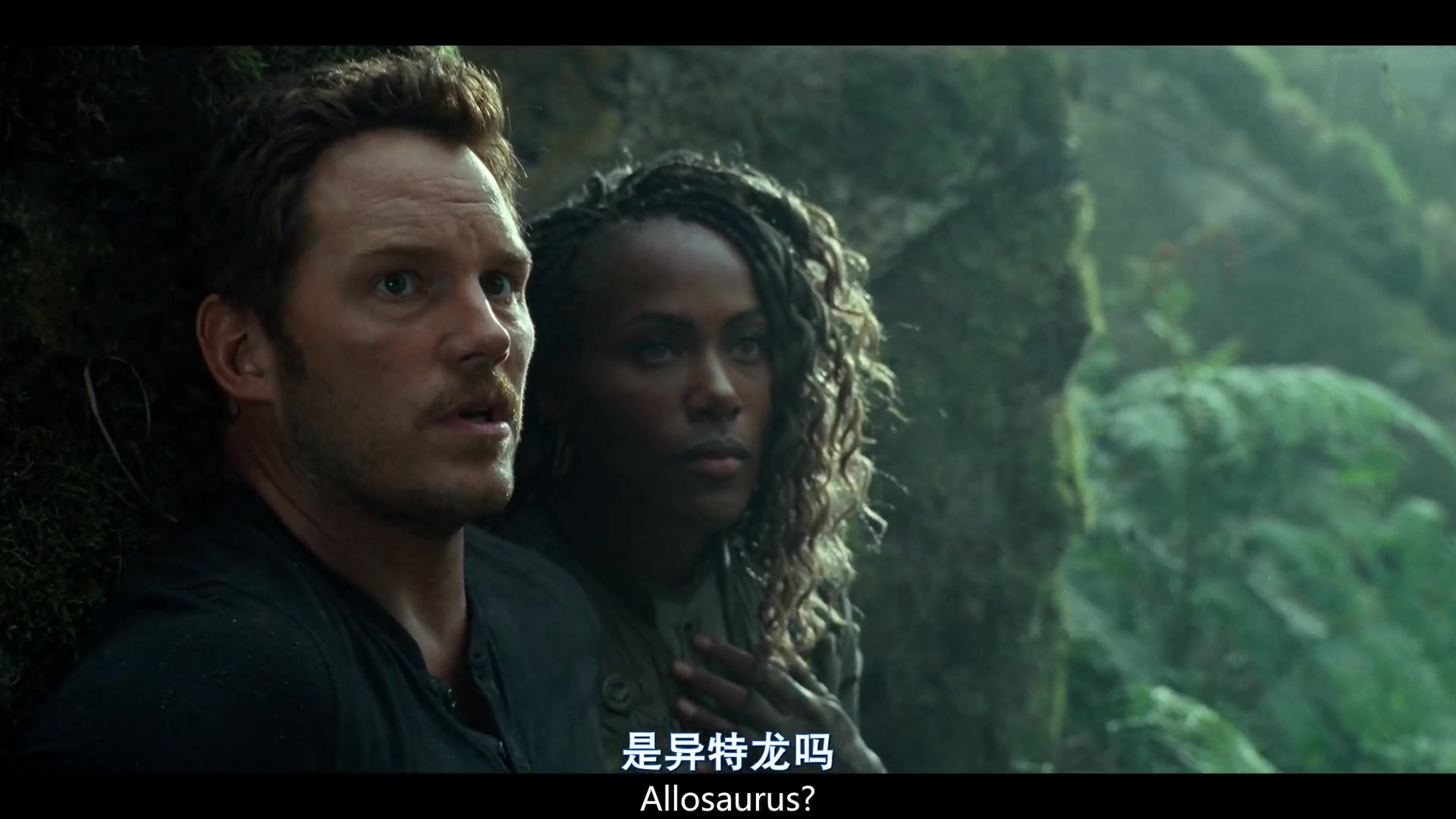 
		                    《侏罗纪世界3 Jurassic World Dominion》的海报和截图（12/15）