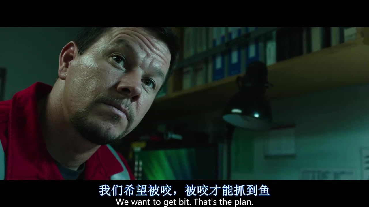 
		                    《深海浩劫 Deepwater Horizon》的海报和截图（3/15）