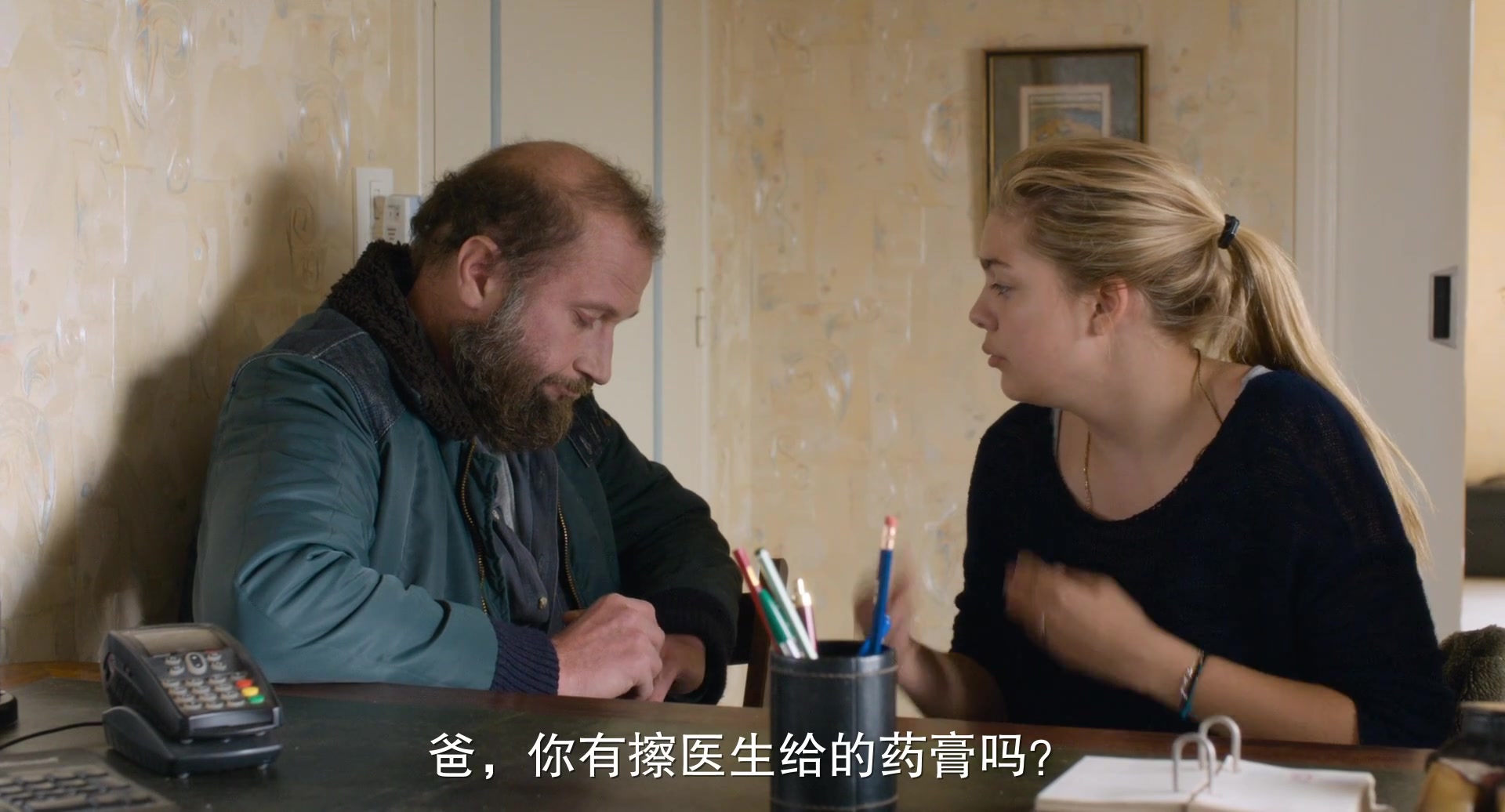 
		                    《贝利叶一家 La famille Bélier》的海报和截图（2/13）