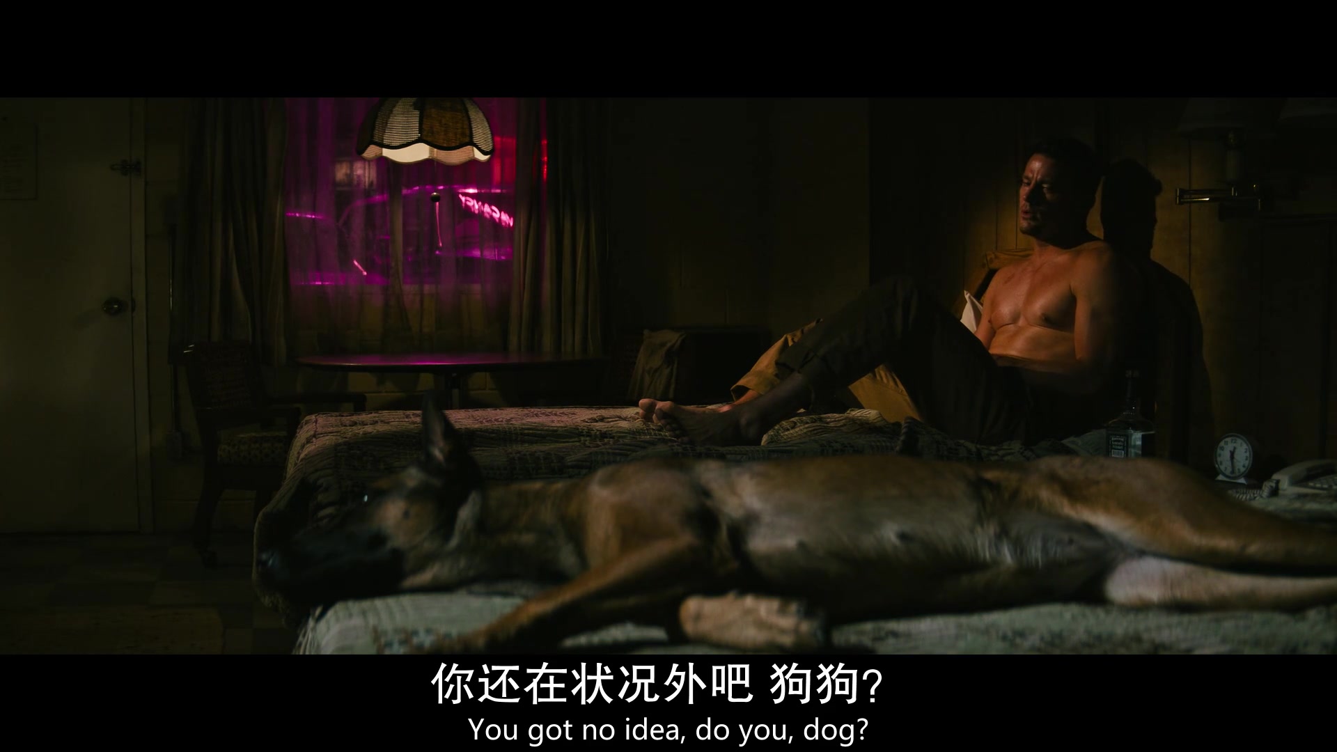 
		                    《忠犬 Dog》的海报和截图（12/12）