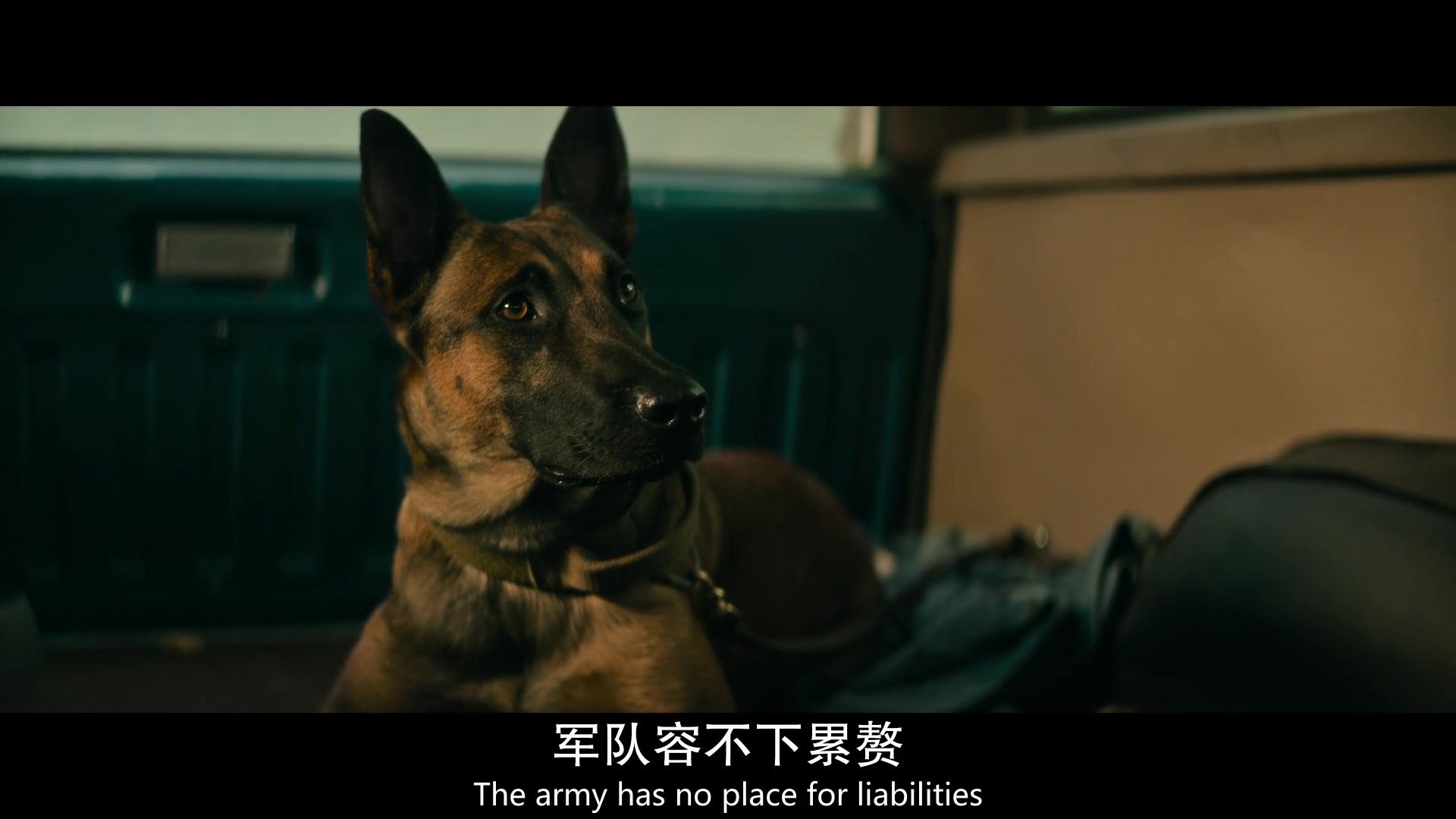 
		                    《忠犬 Dog》的海报和截图（2/12）