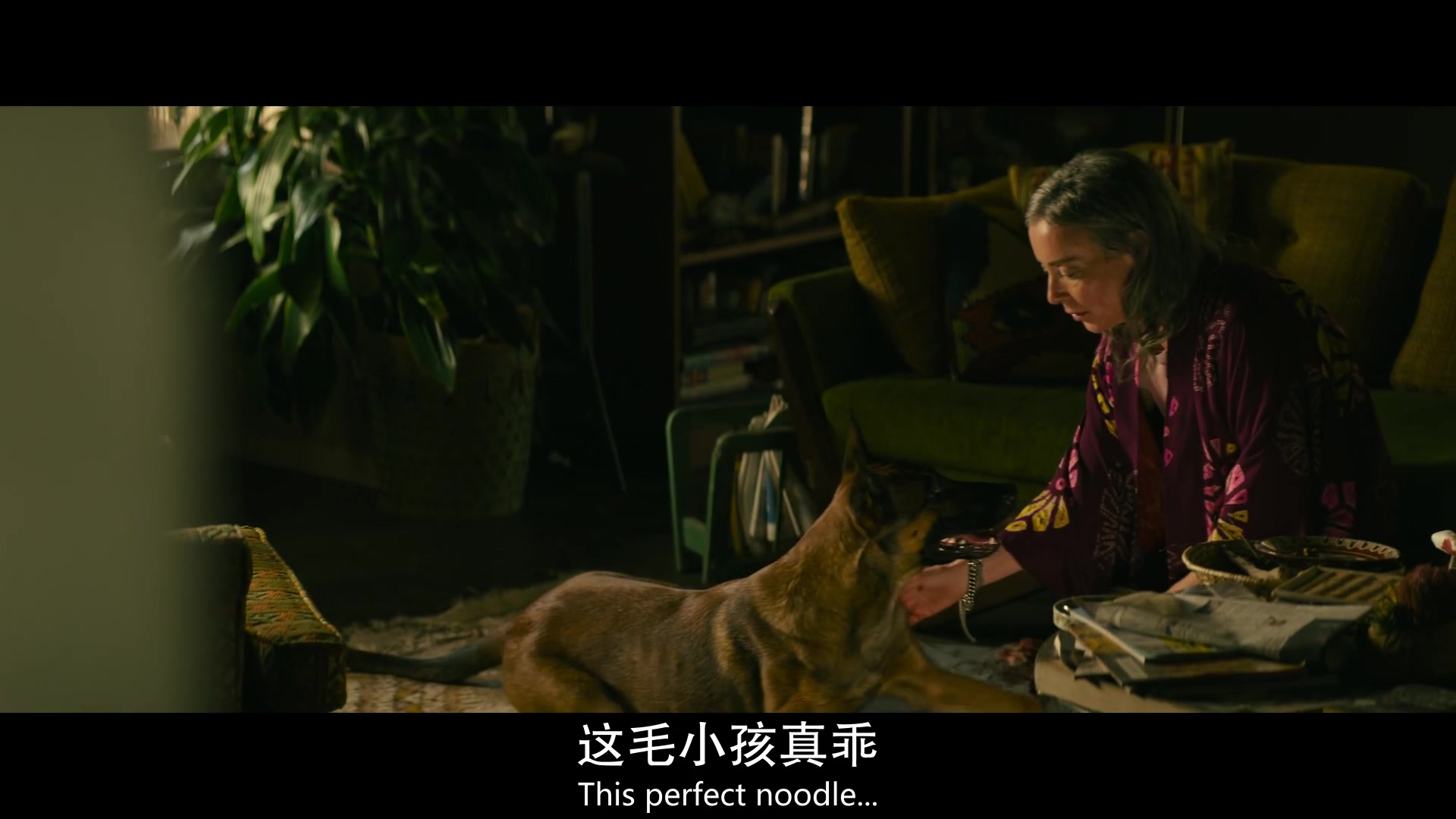 
		                    《忠犬 Dog》的海报和截图（3/12）