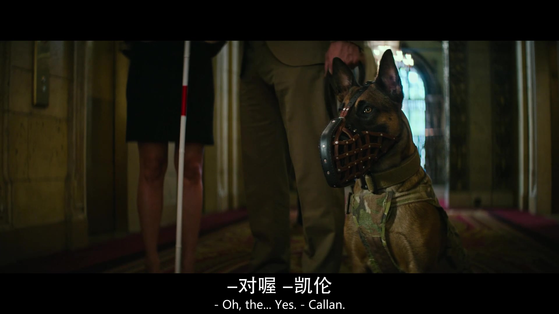 
		                    《忠犬 Dog》的海报和截图（4/12）