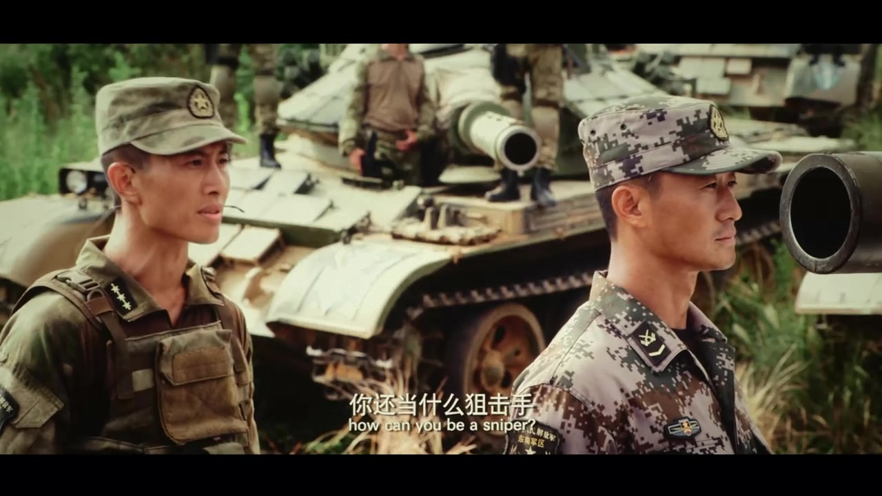 
		                    《战狼 Wolf Warriors》的海报和截图（4/11）