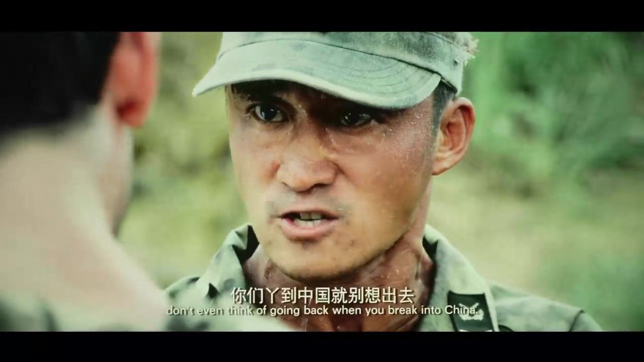 
		                    《战狼 Wolf Warriors》的海报和截图（8/11）