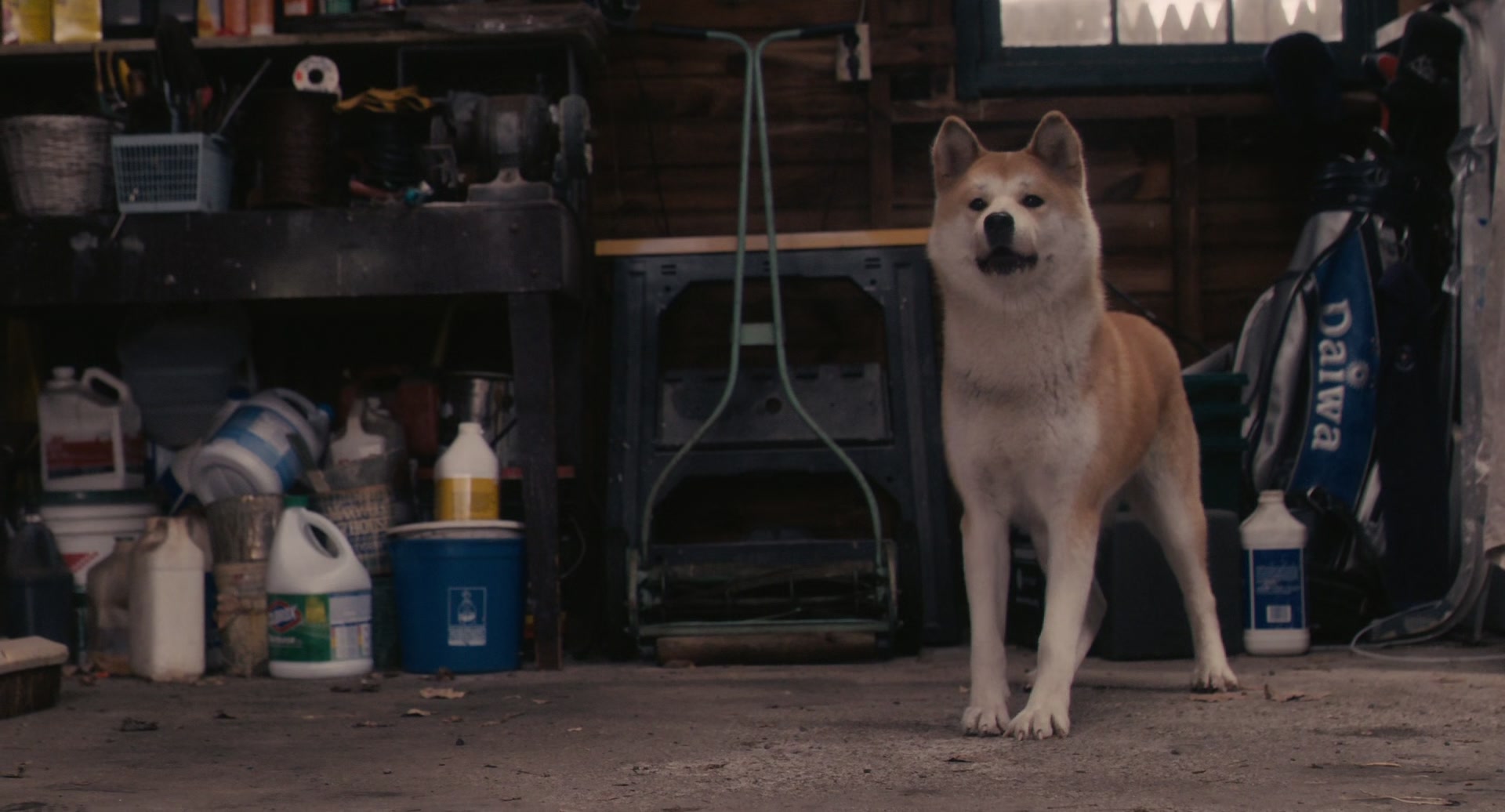 
		                    《忠犬八公的故事 Hachi: A Dog's Tale》的海报和截图（7/12）