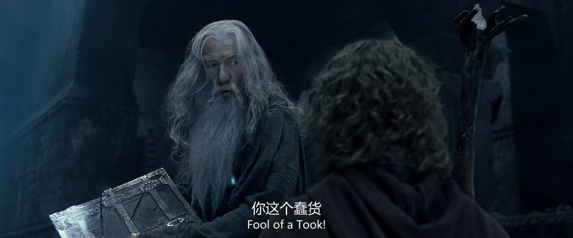 
		                    《指环王1：魔戒再现 The Lord of the Rings: The Fellowship of the Ring》的海报和截图（8/12）