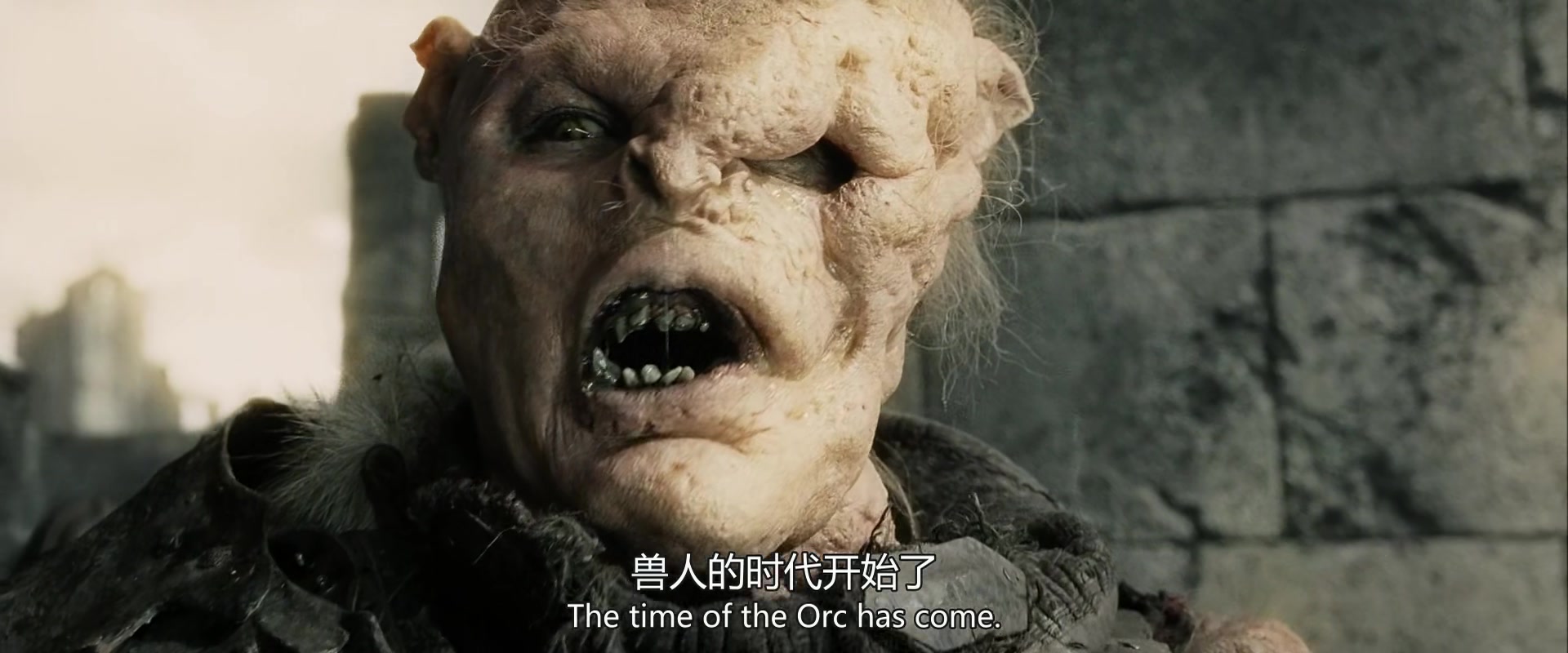 
		                    《指环王3：王者无敌 The Lord of the Rings: The Return of the King 》的海报和截图（4/13）