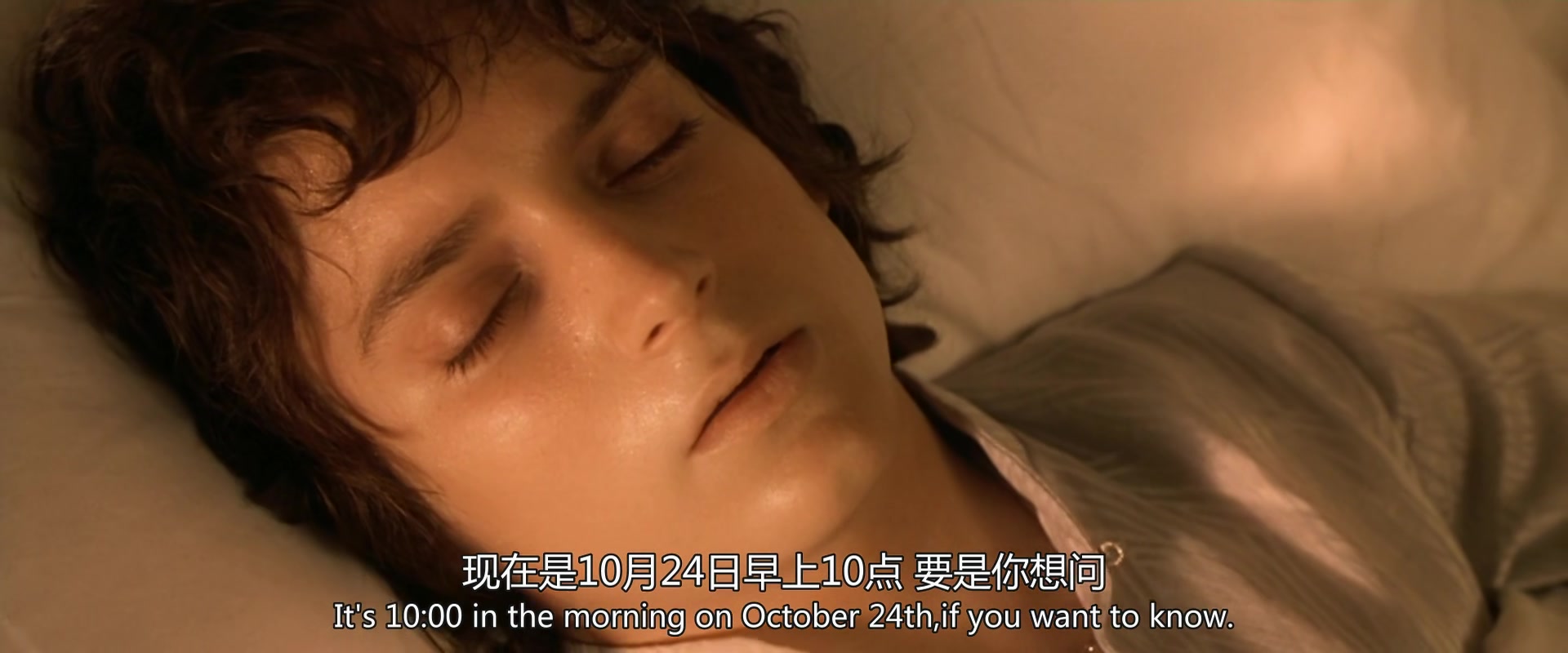 
		                    《指环王1：魔戒再现 The Lord of the Rings: The Fellowship of the Ring》的海报和截图（5/12）