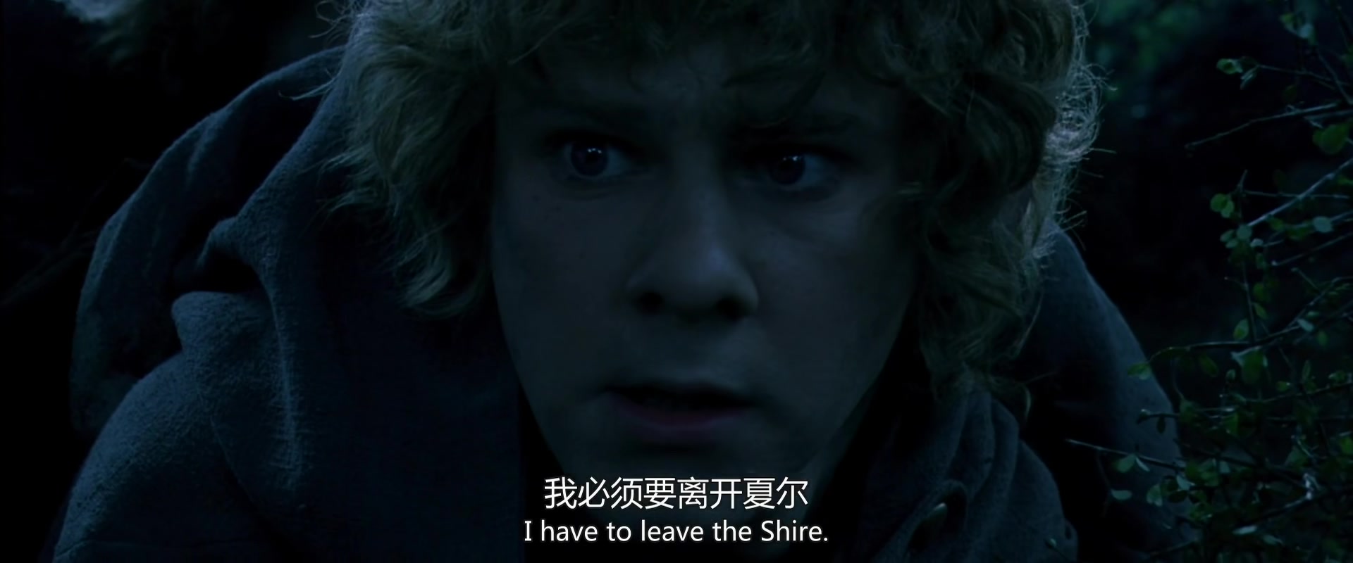 
		                    《指环王1：魔戒再现 The Lord of the Rings: The Fellowship of the Ring》的海报和截图（4/12）