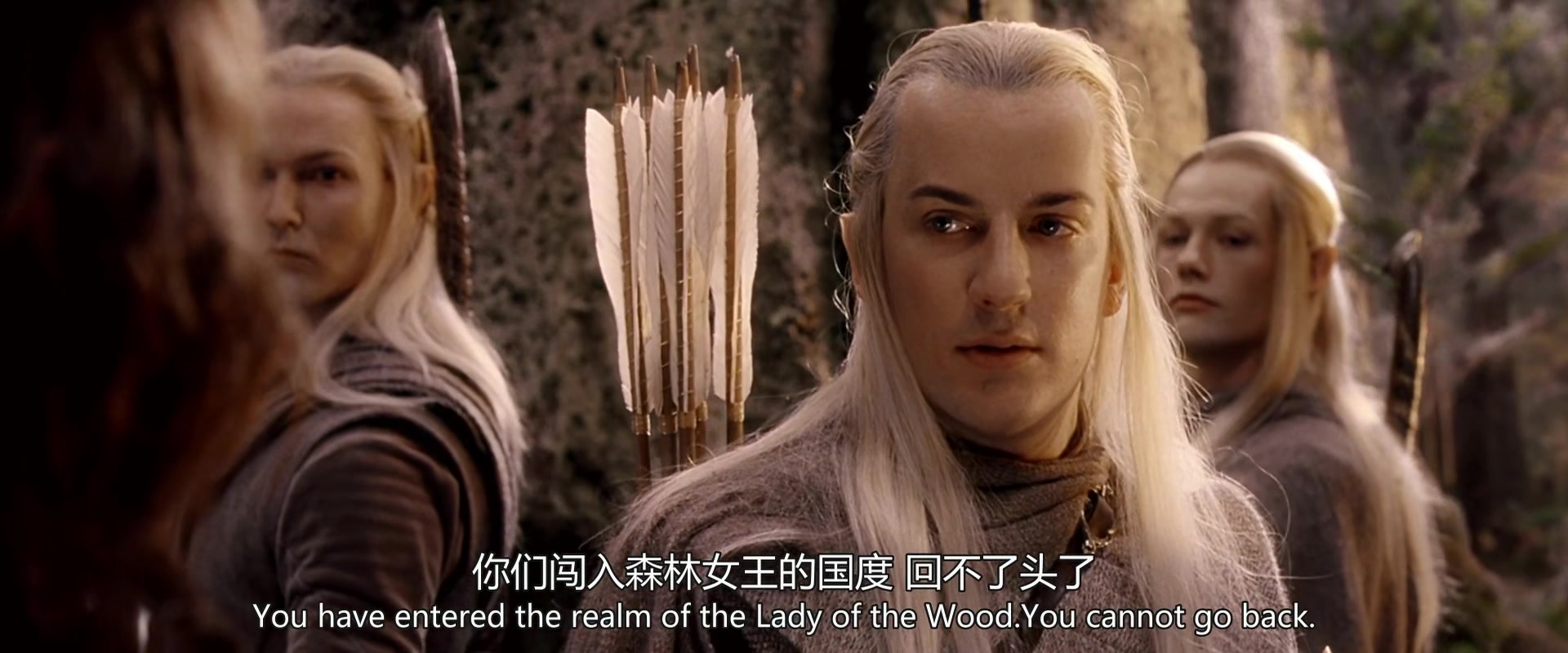 
		                    《指环王1：魔戒再现 The Lord of the Rings: The Fellowship of the Ring》的海报和截图（10/12）