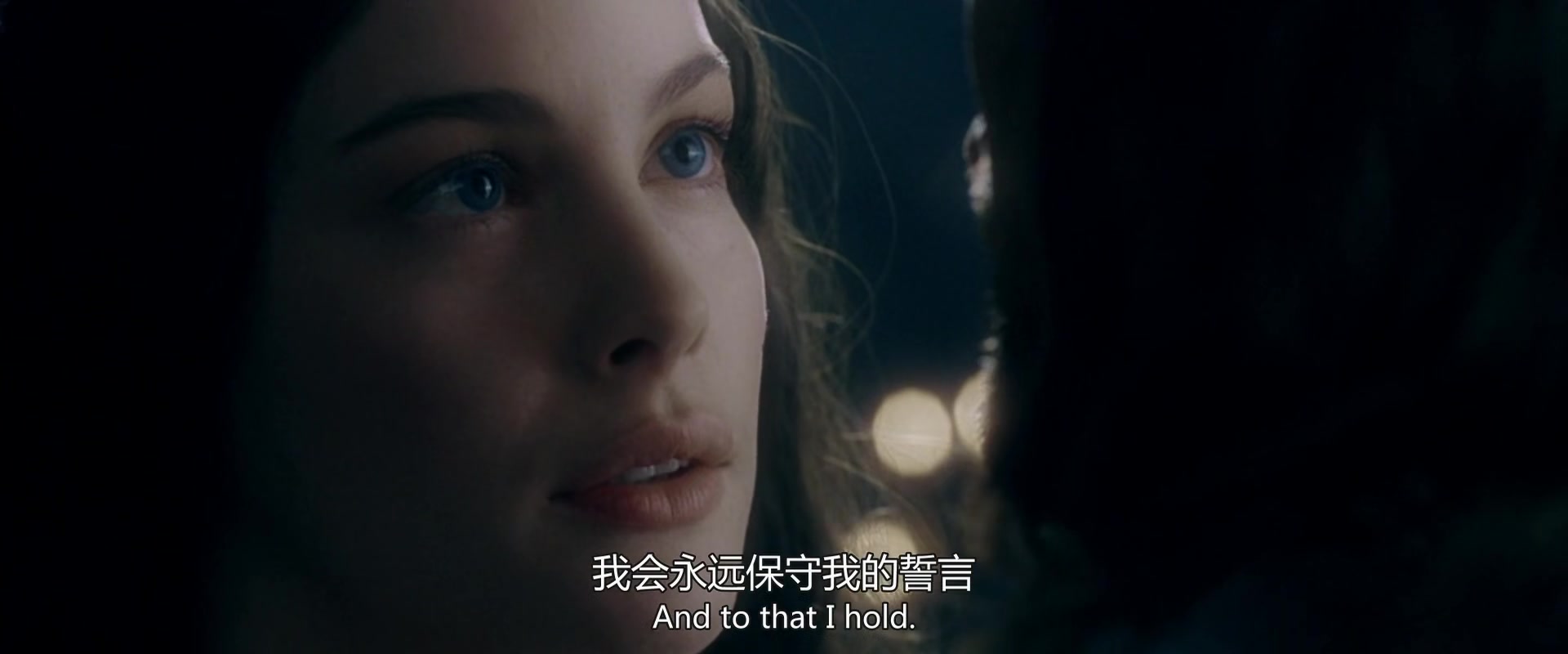 
		                    《指环王1：魔戒再现 The Lord of the Rings: The Fellowship of the Ring》的海报和截图（7/12）