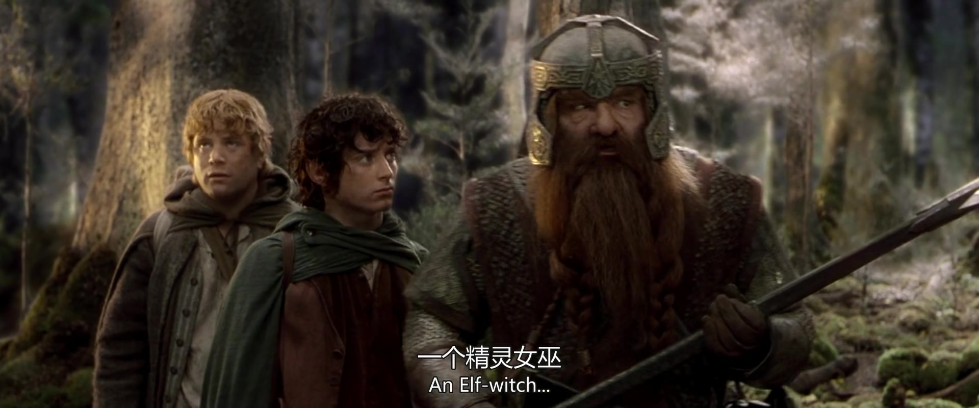 
		                    《指环王1：魔戒再现 The Lord of the Rings: The Fellowship of the Ring》的海报和截图（9/12）