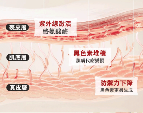 692270be66a03f02880b024047b579d8.png