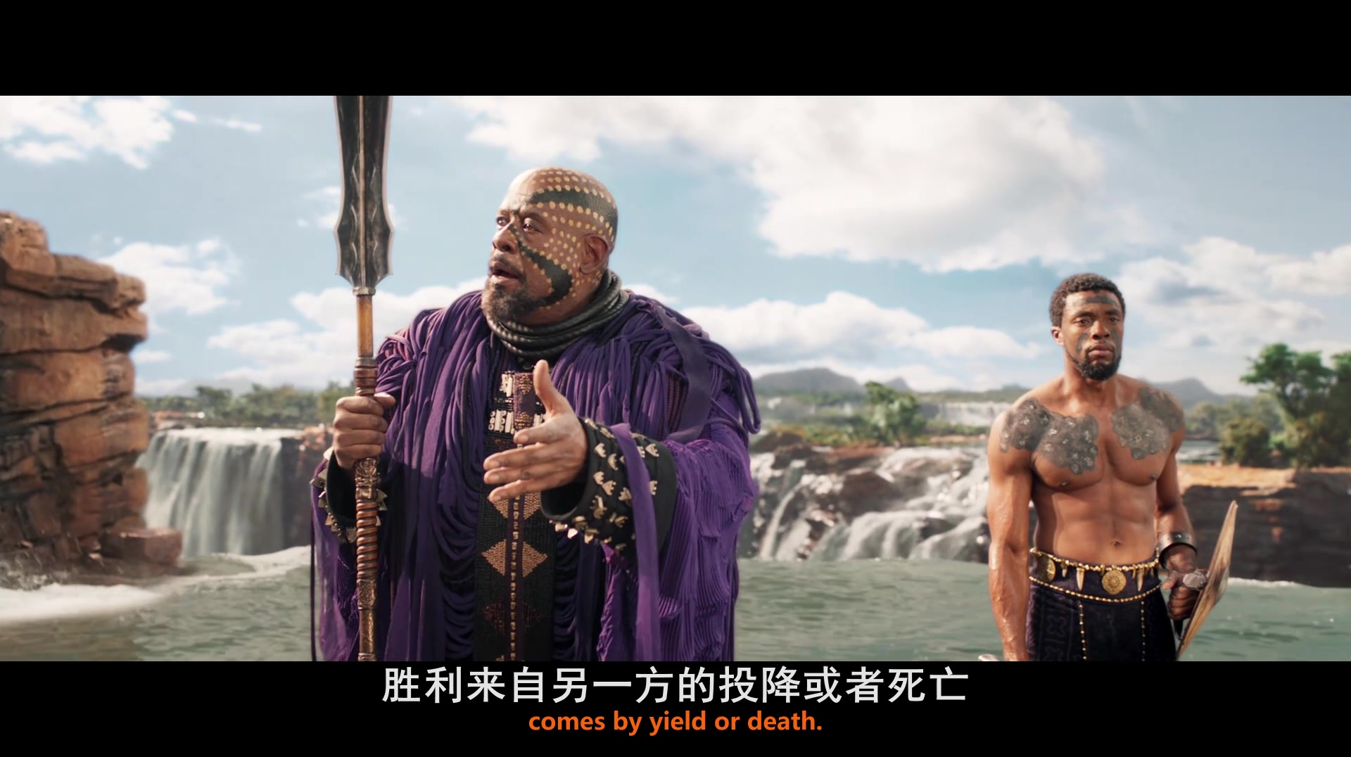 
		                    《黑豹 Black Panther》的海报和截图（6/8）