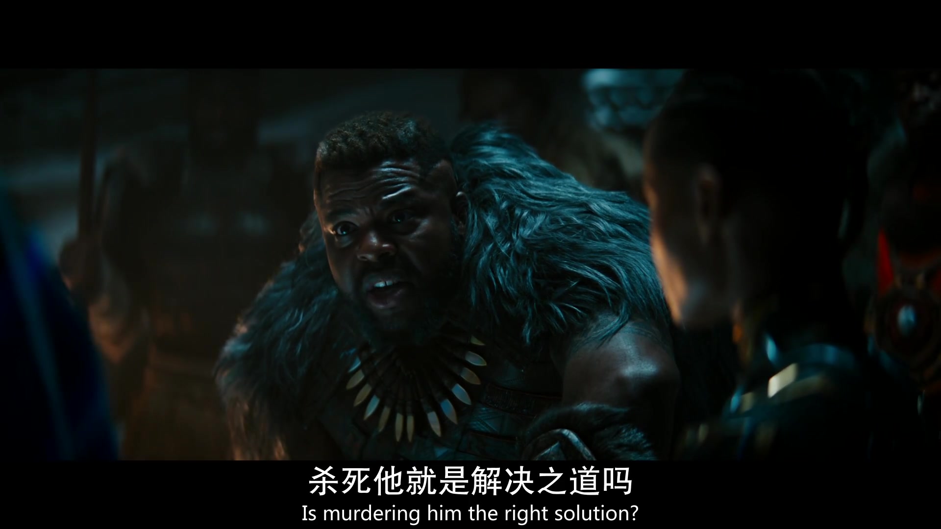 
		                    《黑豹2 Black Panther: Wakanda Forever 》的海报和截图（13/14）