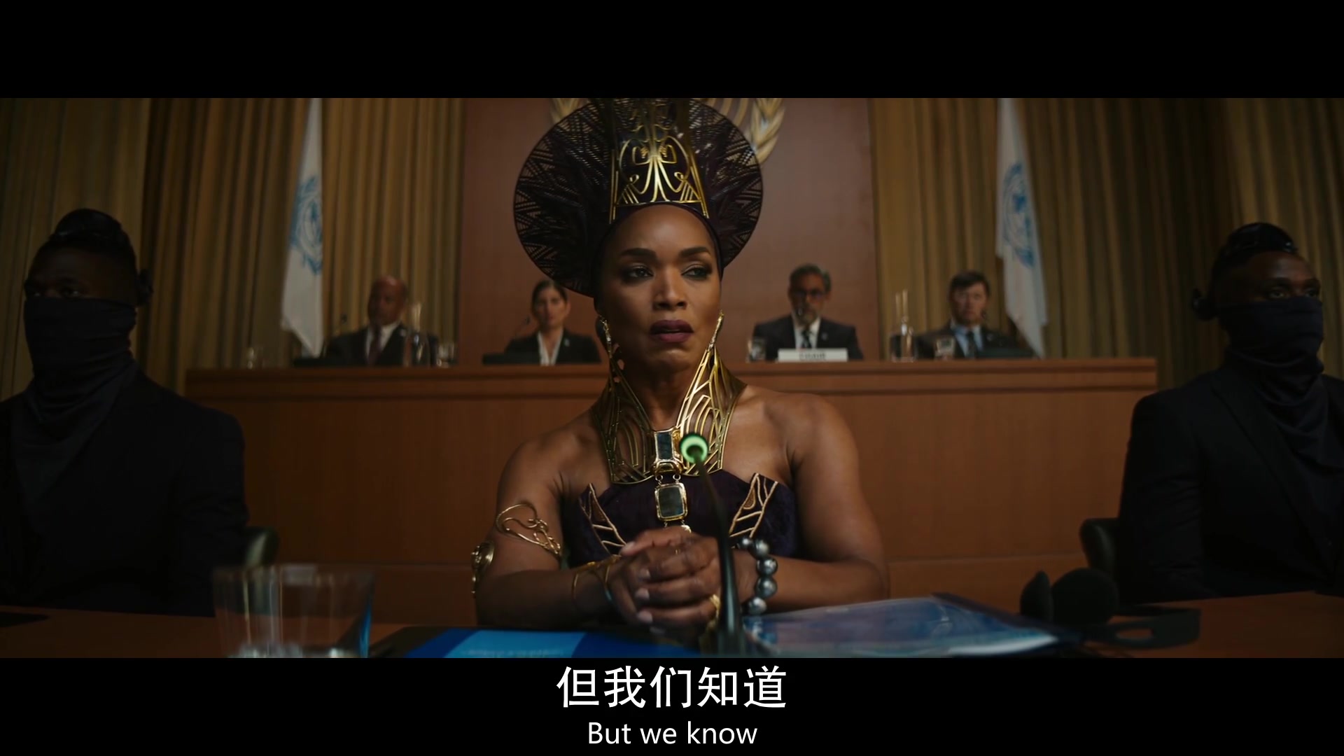 
		                    《黑豹2 Black Panther: Wakanda Forever 》的海报和截图（4/14）