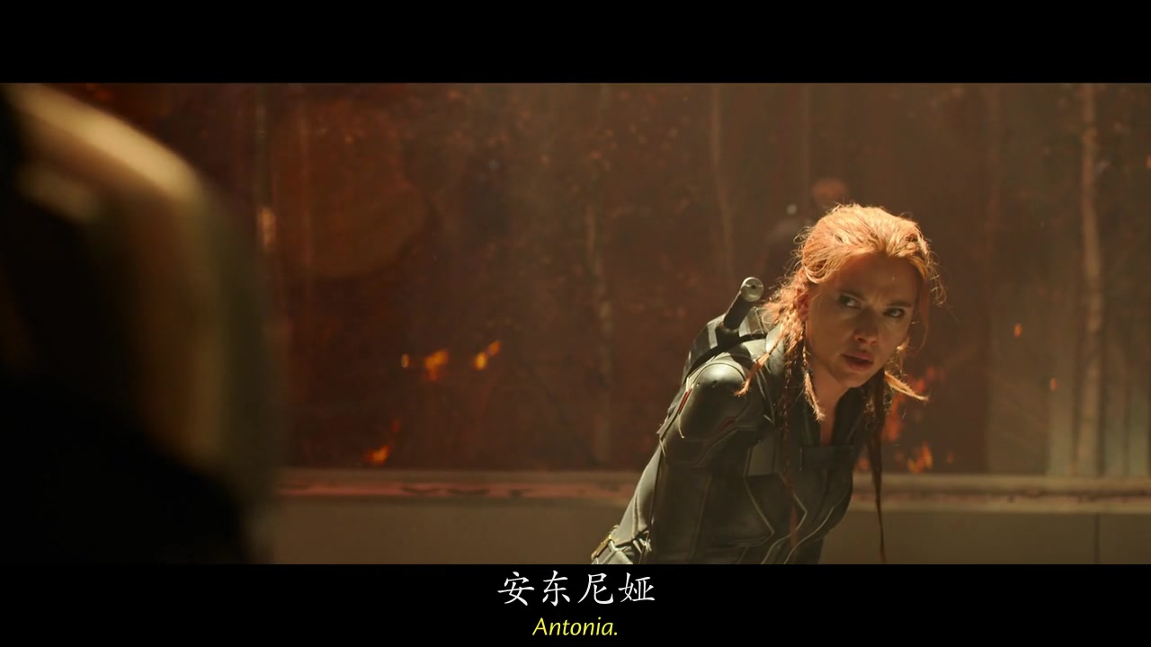 
		                    《黑寡妇 Black Widow》的海报和截图（22/25）