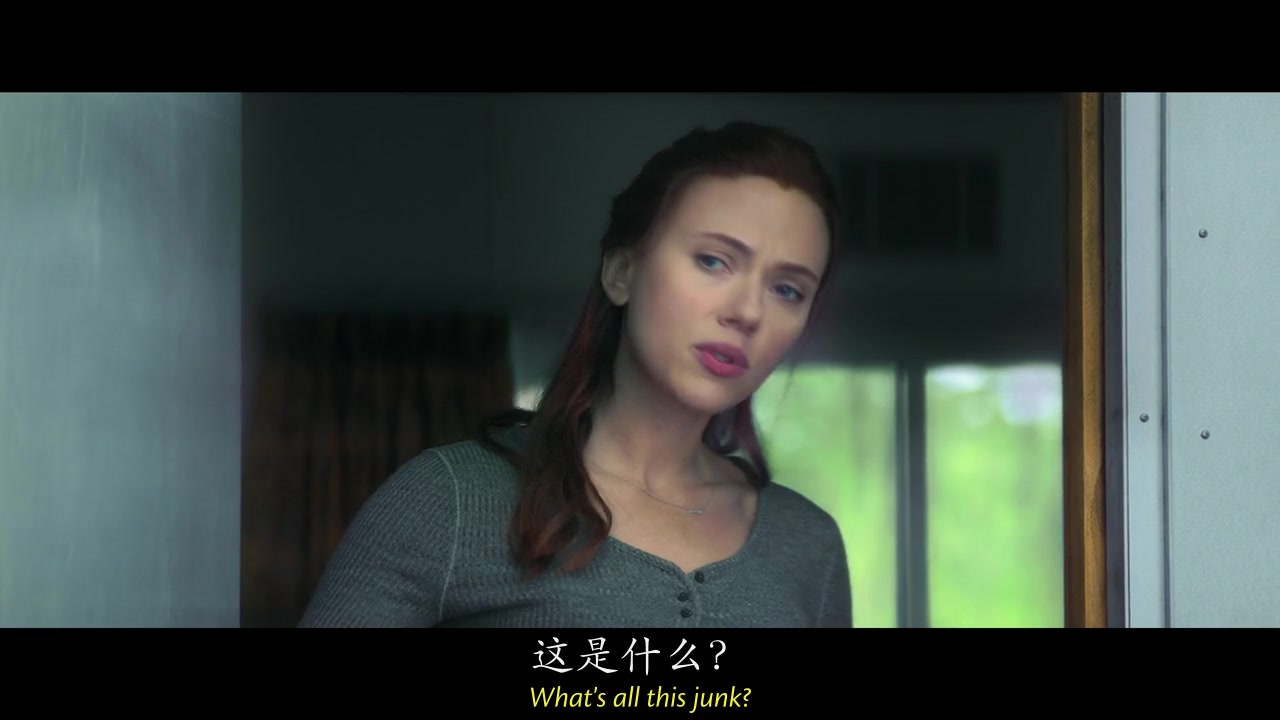 
		                    《黑寡妇 Black Widow》的海报和截图（13/25）