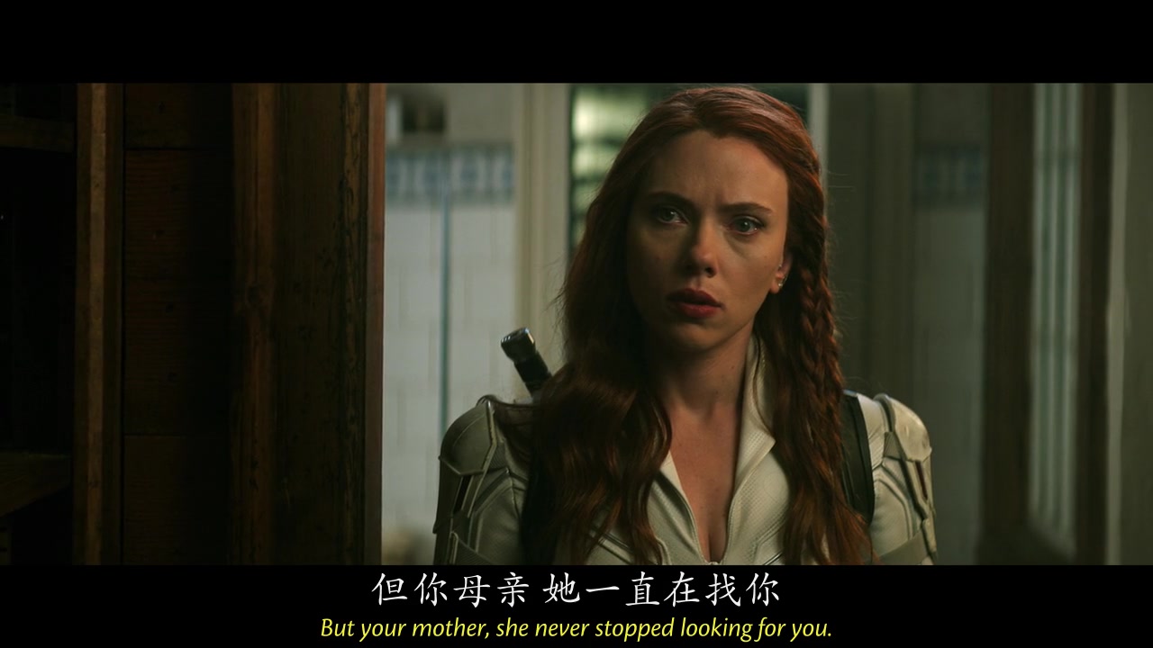 
		                    《黑寡妇 Black Widow》的海报和截图（19/25）