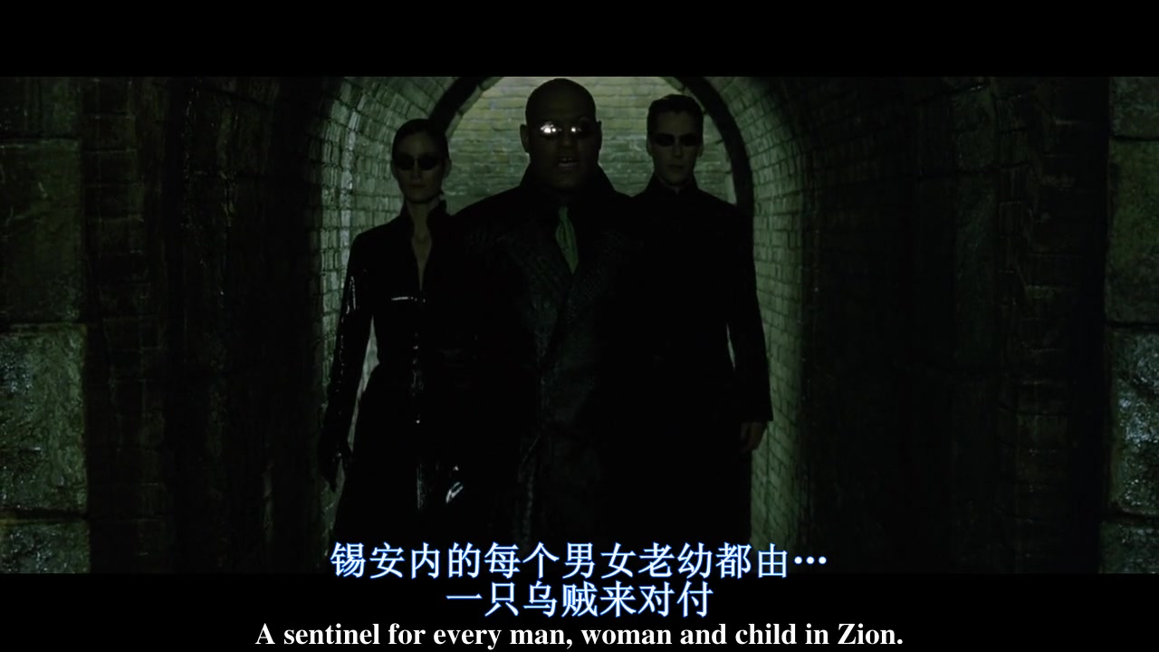 
		                    《黑客帝国2：重装上阵 The Matrix Reloaded 》的海报和截图（12/12）