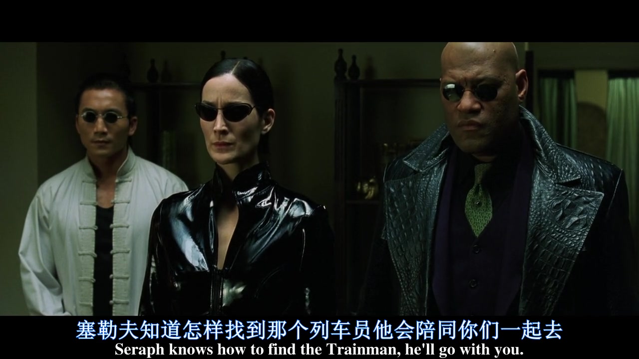 
		                    《黑客帝国3：矩阵革命 The Matrix Revolutions 》的海报和截图（2/11）