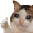 endroseCat