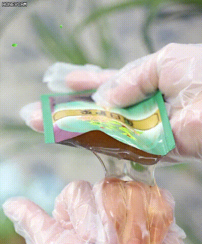 c09e1664367666286af699b20a18e093.gif