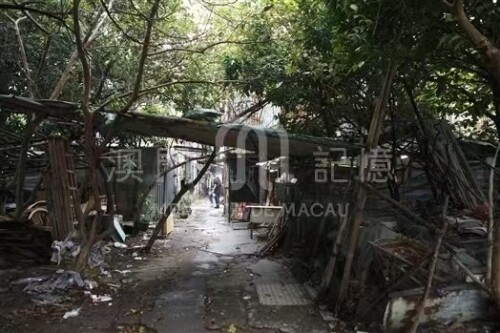 2008年青洲坊