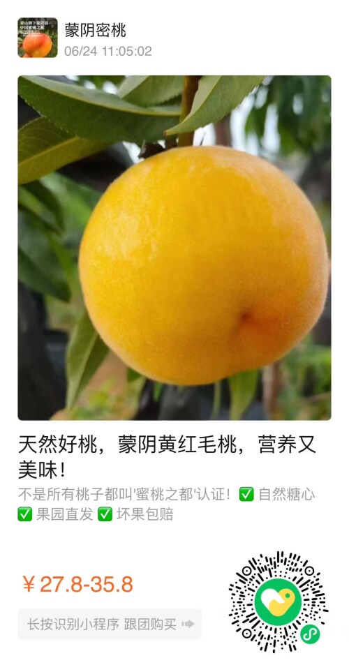 微信图片 20250624131006 9