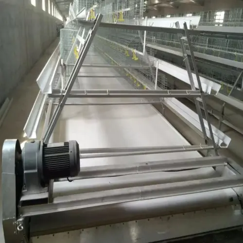 Chicken cage manure scraper belt adjustable speed custom length